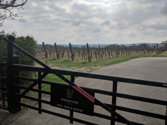 Sussex April 2019: Two days in Sussex for walking and vineyard visits.