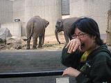 London Zoo: [Friday 30th June 2000] Myself and Chie having a lovely day out at the zoo.