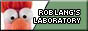 Rob Lang's Laboratory